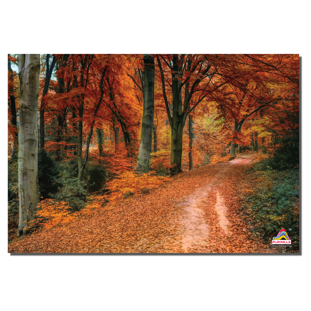 The Forest Path in Autumn Landscape Wooden 300 pieces Jigsaw Puzzle