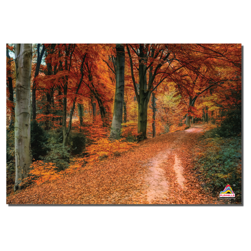 Playhills The Forest Path in Autumn Landscape Wooden 300 pieces Jigsaw Puzzle