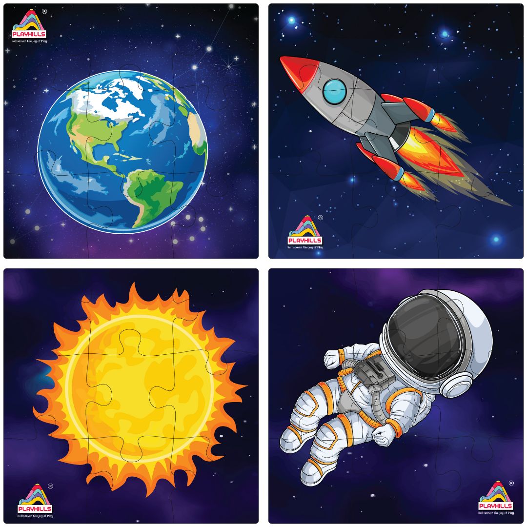 Playhills Combo (Pack of 16 puzzles) Birds + Animals + Outer Space + Daily Objects