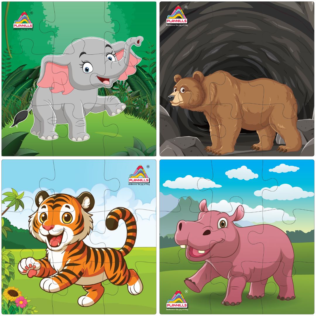 Playhills Combo (Pack of 16 puzzles) Birds + Animals + Outer Space + Daily Objects