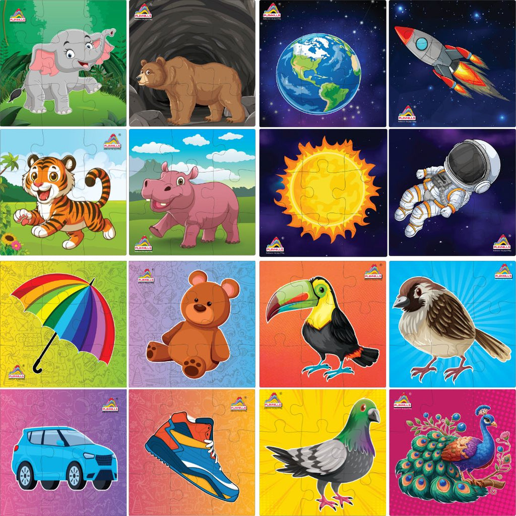 Playhills Combo (Pack of 16 puzzles) Birds + Animals + Outer Space + Daily Objects